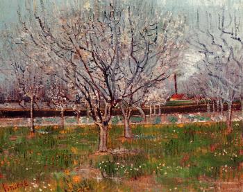 Orchard in Blossom III